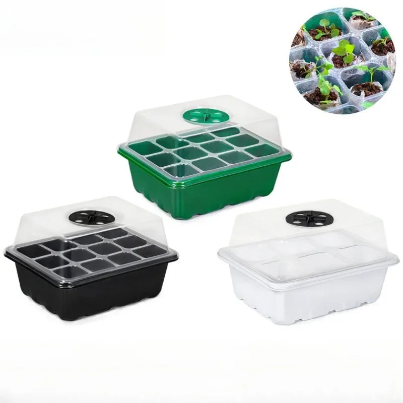 12-Hole Plant Seedling Tray