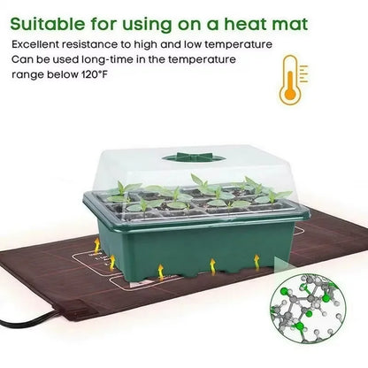12-Hole Plant Seedling Tray
