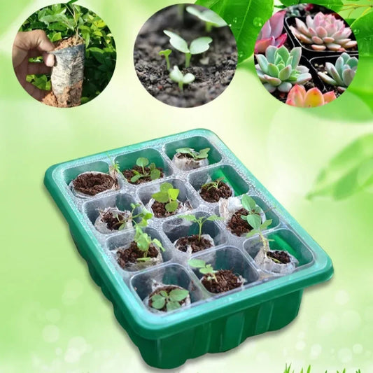 12-Hole Plant Seedling Tray