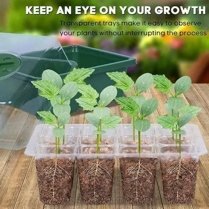 12-Hole Plant Seedling Tray
